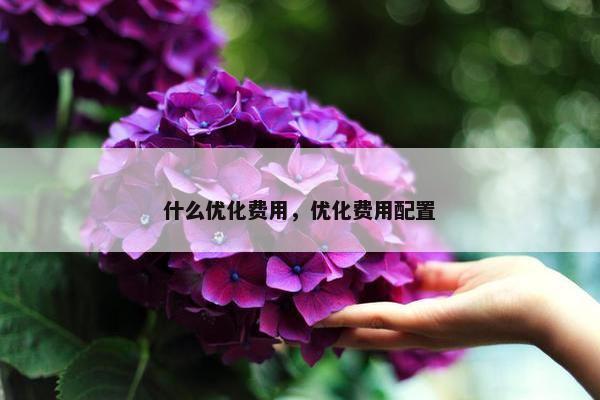 什么优化费用，优化费用配置