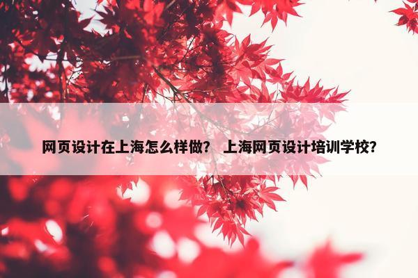 网页设计在上海怎么样做？ 上海网页设计培训学校？