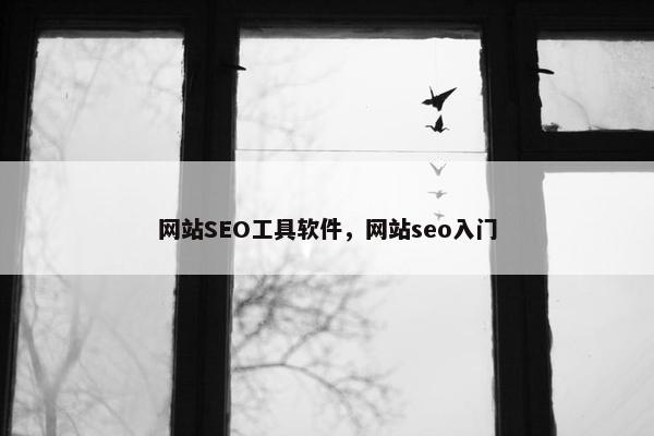 网站SEO工具软件，网站seo入门