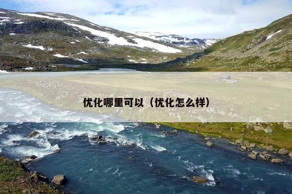 优化哪里可以（优化怎么样）