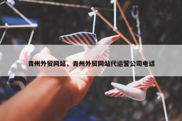青州外贸网站，青州外贸网站代运营公司电话