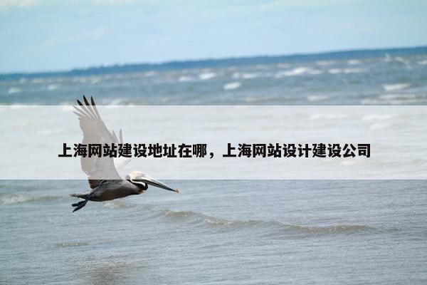 上海网站建设地址在哪，上海网站设计建设公司