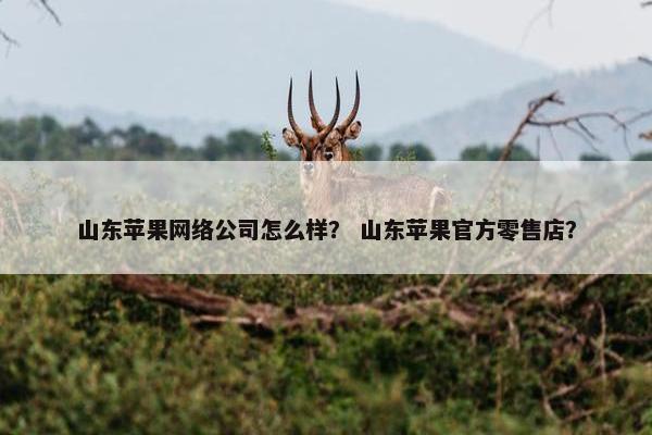 山东苹果网络公司怎么样？ 山东苹果官方零售店？