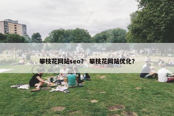 攀枝花网站seo？ 攀枝花网站优化？