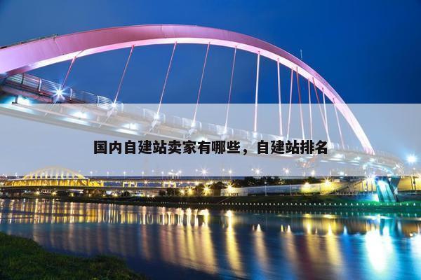 国内自建站卖家有哪些，自建站排名