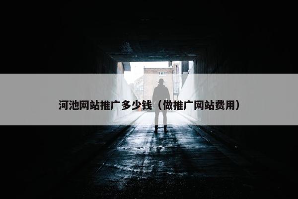 河池网站推广多少钱（做推广网站费用）