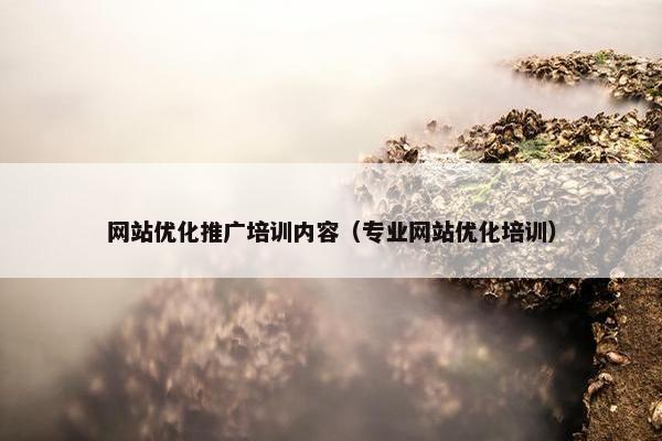 网站优化推广培训内容（专业网站优化培训）