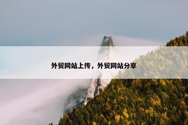 外贸网站上传，外贸网站分享
