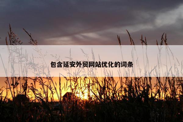 包含延安外贸网站优化的词条