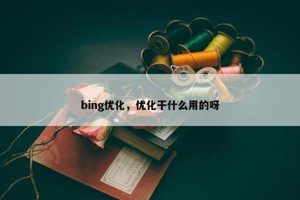 bing优化，优化干什么用的呀