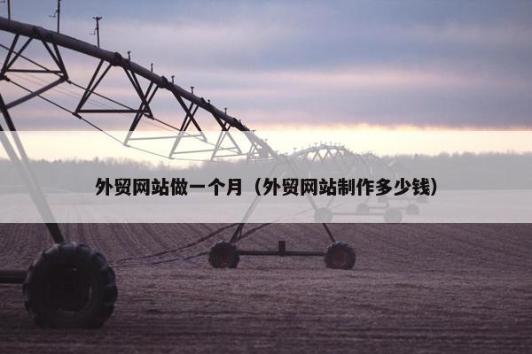 外贸网站做一个月（外贸网站制作多少钱）