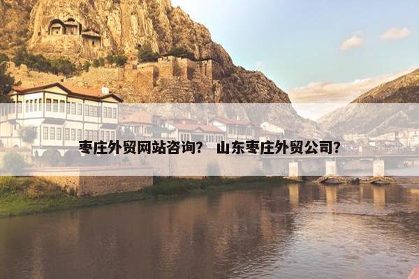 枣庄外贸网站咨询？ 山东枣庄外贸公司？