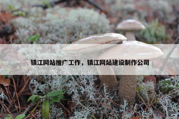 镇江网站推广工作，镇江网站建设制作公司