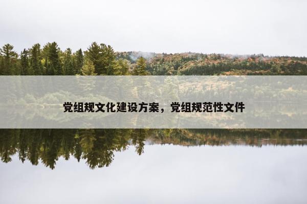 党组规文化建设方案，党组规范性文件