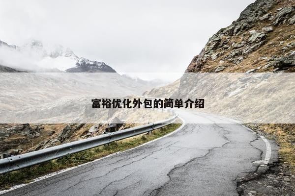 富裕优化外包的简单介绍