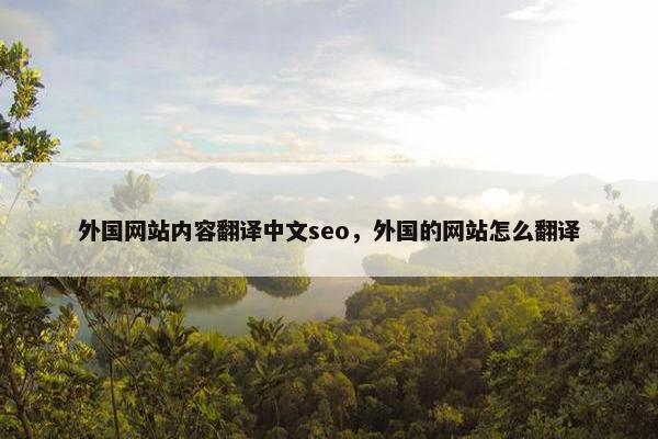 外国网站内容翻译中文seo，外国的网站怎么翻译