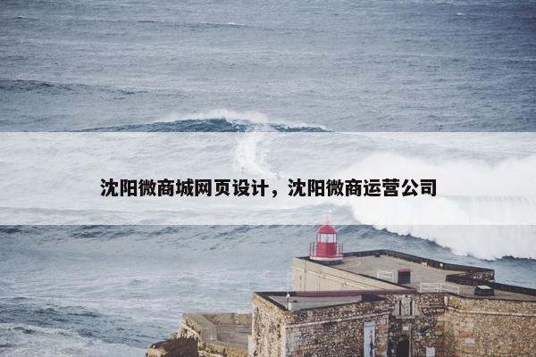 沈阳微商城网页设计，沈阳微商运营公司