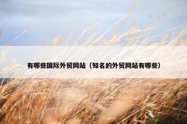 有哪些国际外贸网站（知名的外贸网站有哪些）