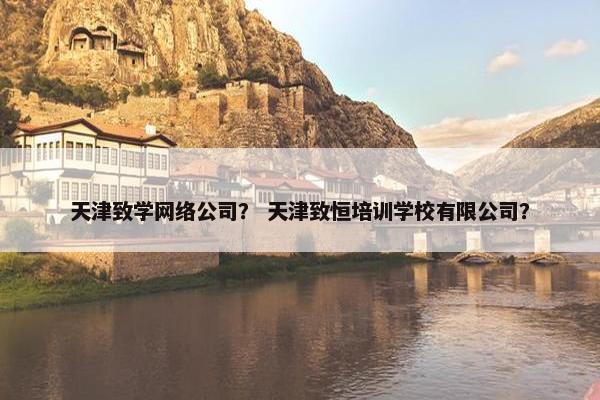 天津致学网络公司？ 天津致恒培训学校有限公司？