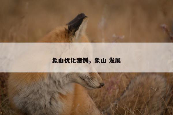 象山优化案例，象山 发展