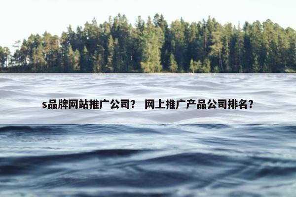 s品牌网站推广公司？ 网上推广产品公司排名？