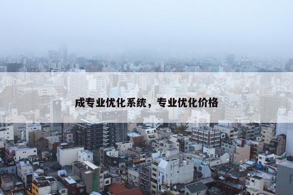 成专业优化系统，专业优化价格