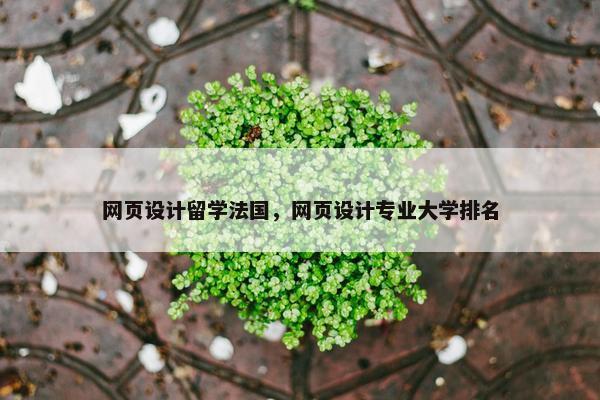 网页设计留学法国，网页设计专业大学排名