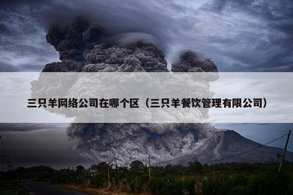 三只羊网络公司在哪个区（三只羊餐饮管理有限公司）