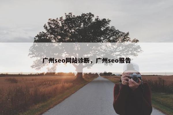 广州seo网站诊断，广州seo报告