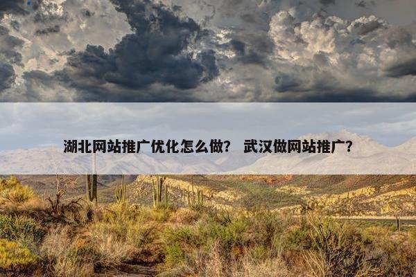 湖北网站推广优化怎么做？ 武汉做网站推广？