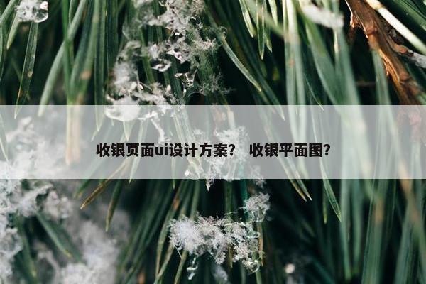收银页面ui设计方案？ 收银平面图？