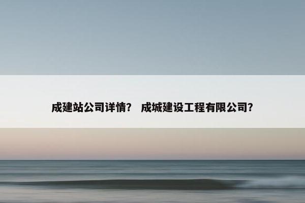 成建站公司详情？ 成城建设工程有限公司？