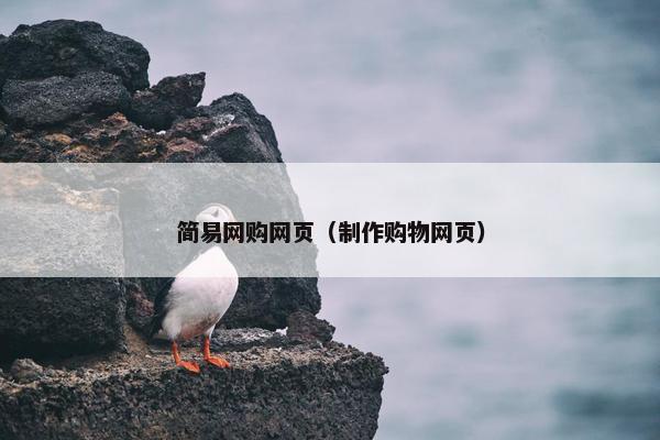 简易网购网页（制作购物网页）