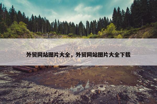 外贸网站图片大全，外贸网站图片大全下载