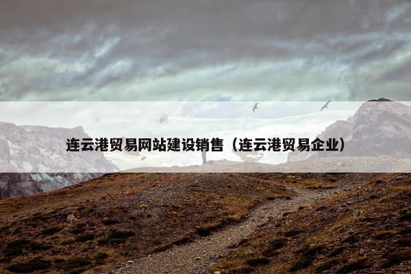 连云港贸易网站建设销售（连云港贸易企业）