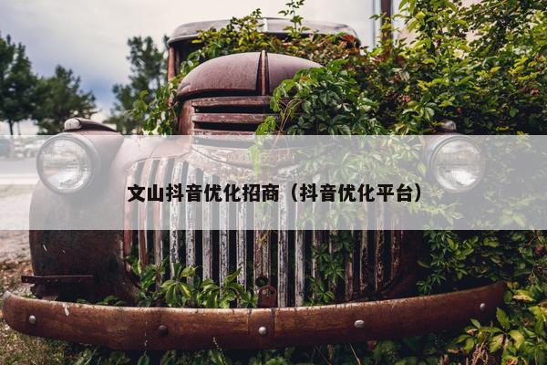 文山抖音优化招商（抖音优化平台）