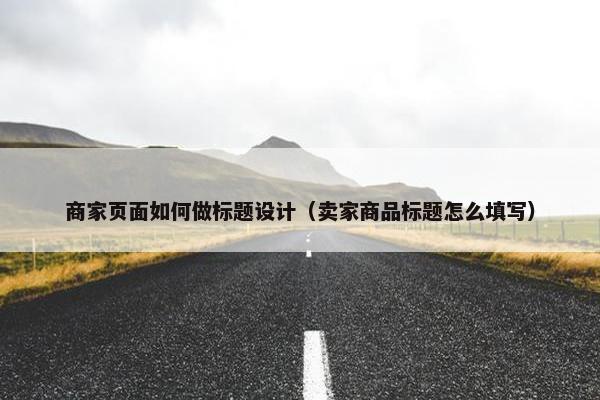 商家页面如何做标题设计（卖家商品标题怎么填写）