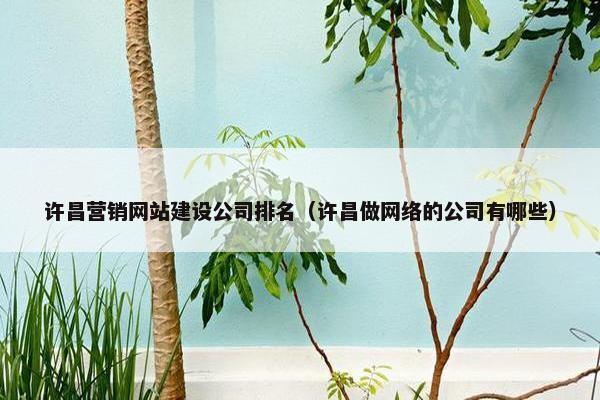 许昌营销网站建设公司排名（许昌做网络的公司有哪些）