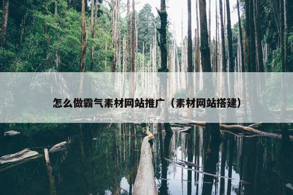 怎么做霸气素材网站推广（素材网站搭建）