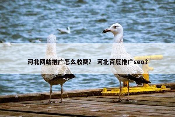河北网站推广怎么收费？ 河北百度推广seo？