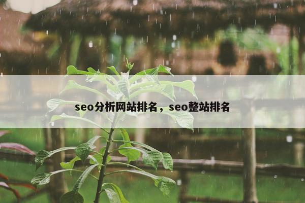 seo分析网站排名，seo整站排名