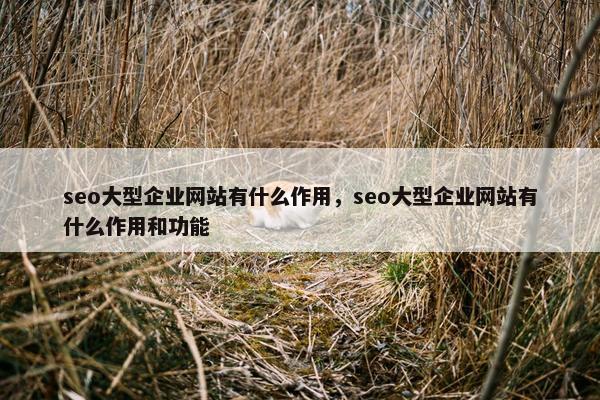seo大型企业网站有什么作用，seo大型企业网站有什么作用和功能