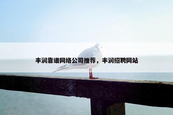 丰润靠谱网络公司推荐，丰润招聘网站