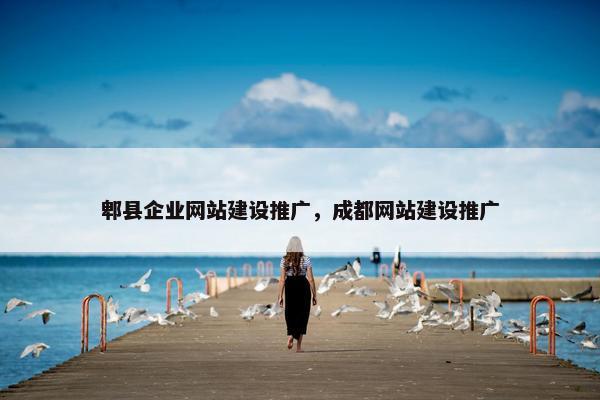 郫县企业网站建设推广，成都网站建设推广