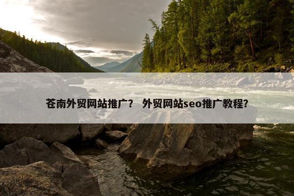 苍南外贸网站推广？ 外贸网站seo推广教程？