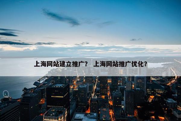 上海网站建立推广？ 上海网站推广优化？