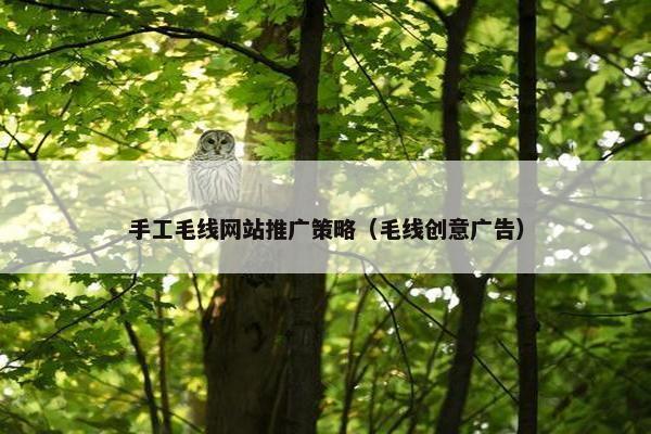 手工毛线网站推广策略（毛线创意广告）