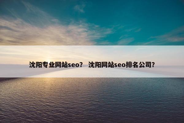 沈阳专业网站seo？ 沈阳网站seo排名公司？