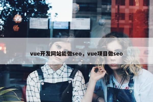 vue开发网站能做seo，vue项目做seo