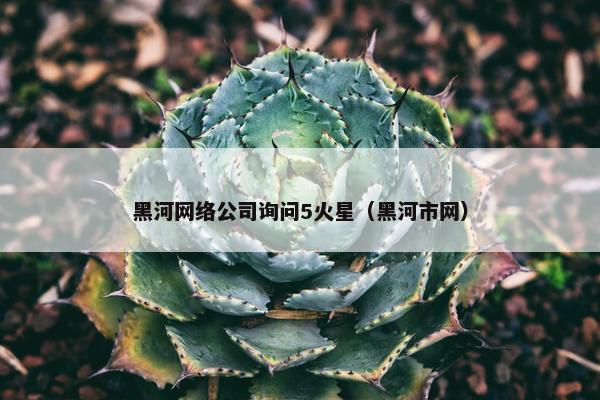 黑河网络公司询问5火星（黑河市网）